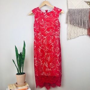 Minuet Red Lace Cocktail Dress
